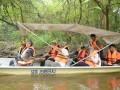 Tn PPTC 312